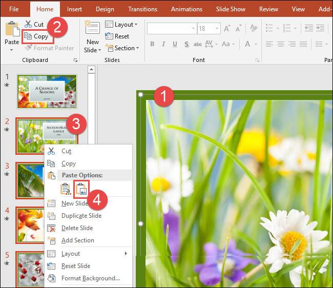 Border Computer Powerpoint How to Make a Border or Frame on a PowerPoint Slide