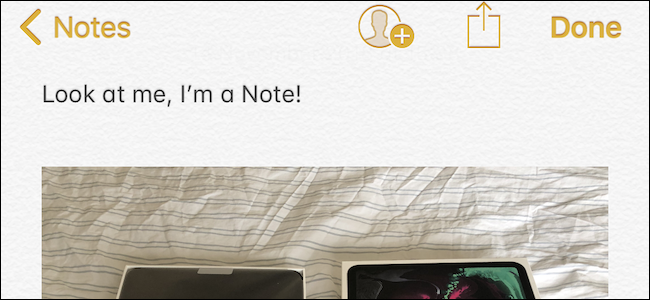 The Best Note-Taking Apps for iPhone and iPad