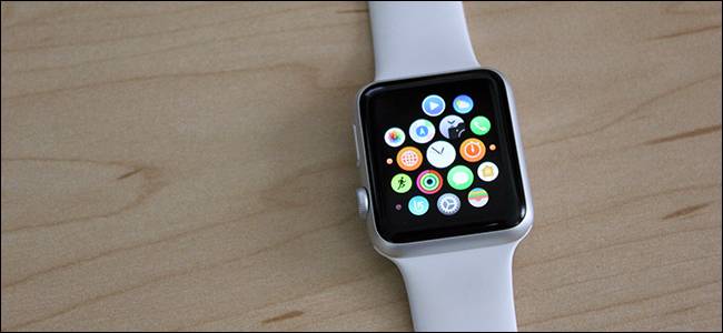 How to Fix Apple Watch Not Vibrating for Alarms and Notifications How to Fix Apple Watch Not Vibrating for Alarms and Notifications