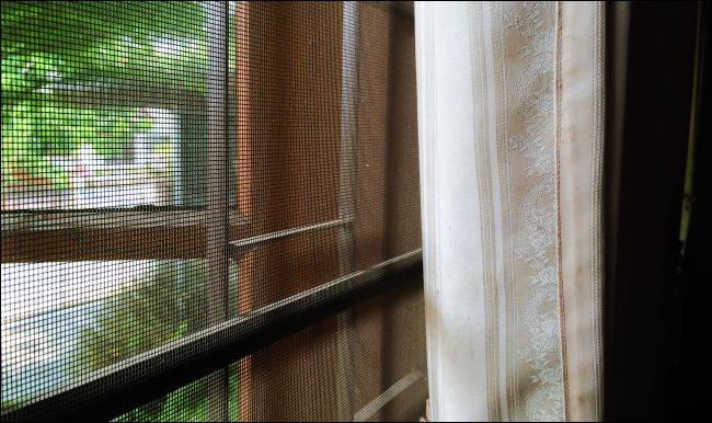 Window Screen Effect What Is the