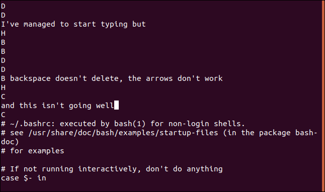 A bad attempt at editing in vi, with random letters added to the file.