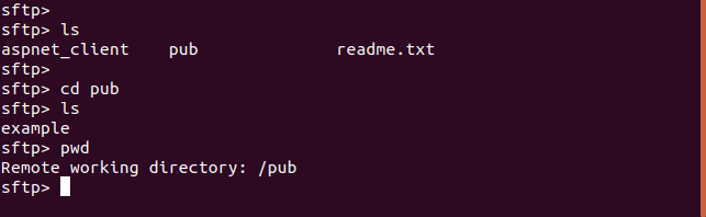 How to Use the FTP Command on Linux