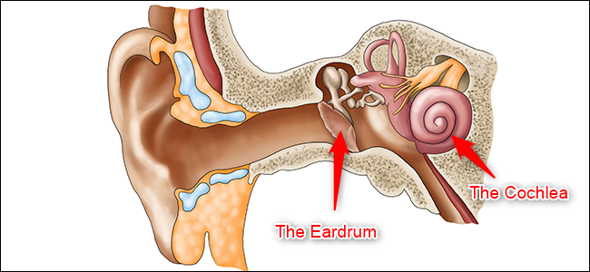 How Do Bone Conduction Headphones Work?