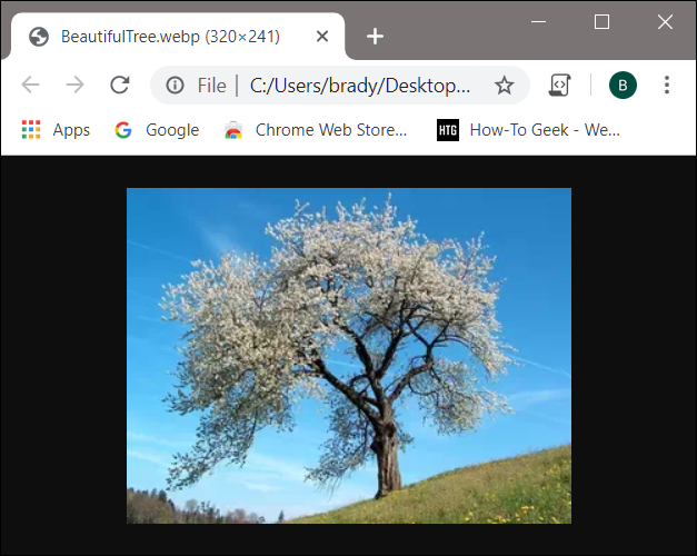 Webp File. View What Is a WebP File (and How Do I Open One)?