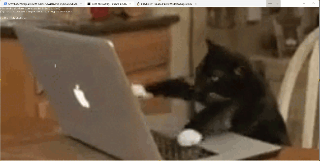 Windows terminal with a cat typing at keyboard background gif