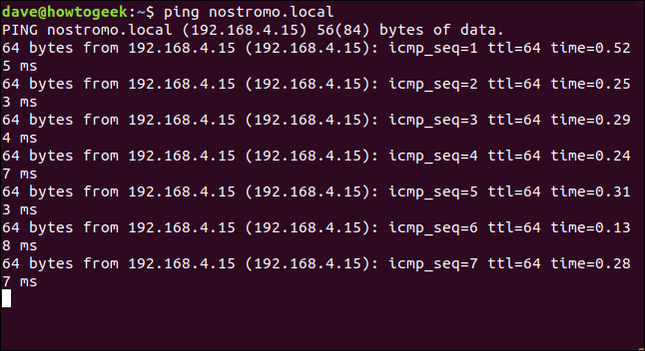 ping output in a terminal window