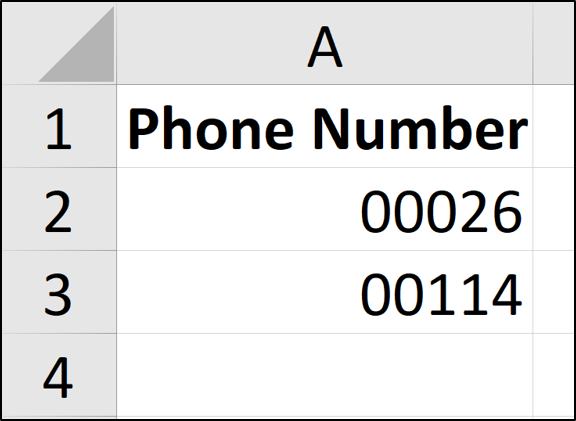 How to Enter Zero Before a Number in Excel