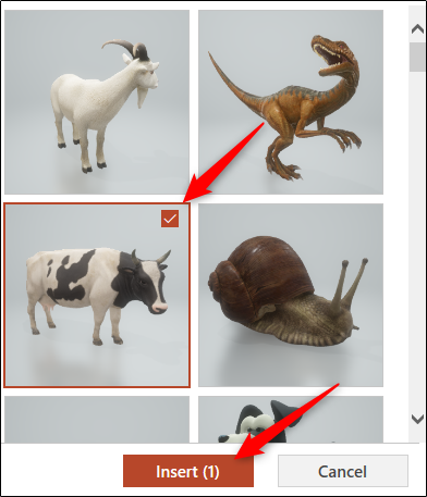 How to Insert a Picture or Other Object in Microsoft Office