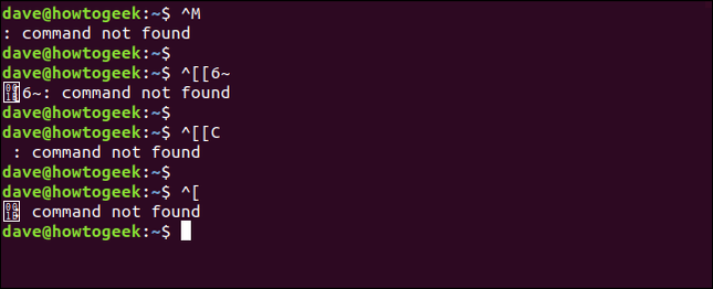 How to Copy and Paste Text at Linux's Bash Shell