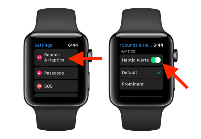 Apple Watch haptic alerts settings screenshot