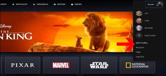 How to Add and Delete Disney+ User Profiles