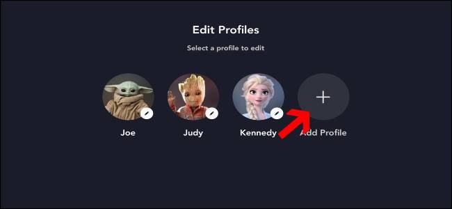 How to Add and Delete Disney+ User Profiles