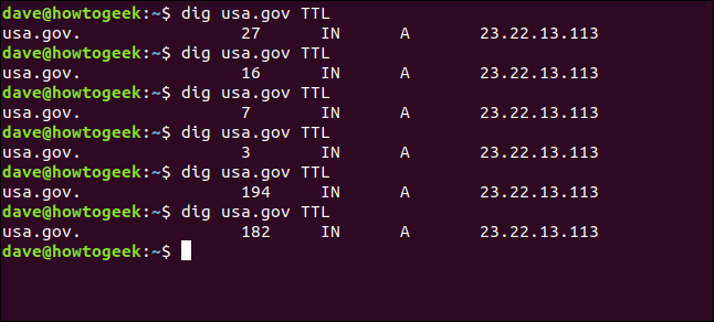 How to Use the dig Command on Linux