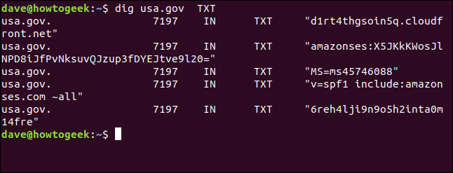 Dig Command Terminal How to Use the dig Command on Linux