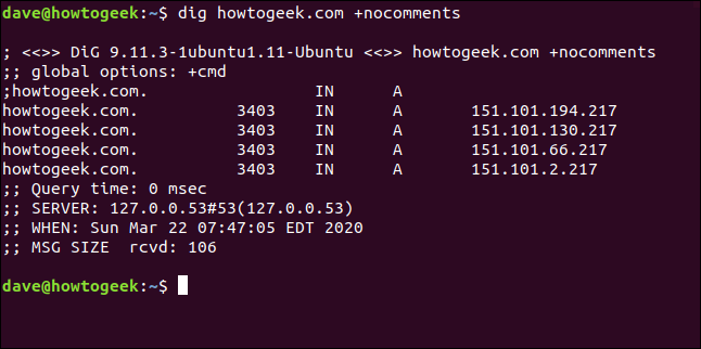 Linux Dig Command How to Use the dig Command on Linux