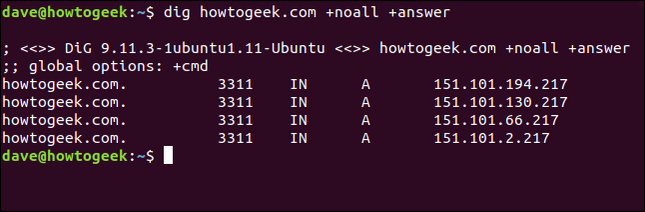 Dig Command Terminal How to Use the dig Command on Linux