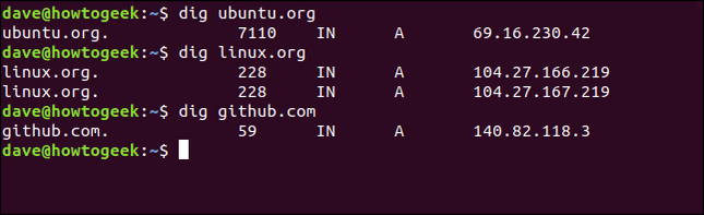 Dig Command Terminal How to Use the dig Command on Linux