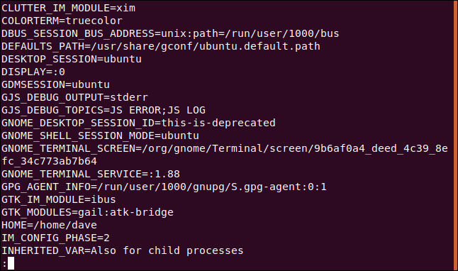 How to Set Environment Variables in Bash on Linux