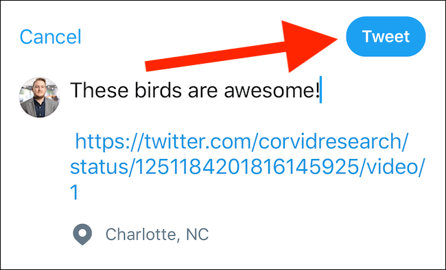Compose Tweet How to Embed Someone's Twitter Video Without Retweeting Them