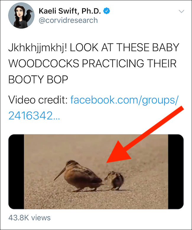 How To Embed Someone s Twitter Video Without Retweeting Them how-to-embed-someone-s-twitter-video-without-retweeting-them