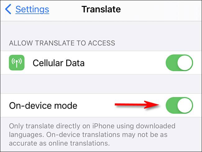How to Enable Offline Translation in Apple's Translate App on iPhone