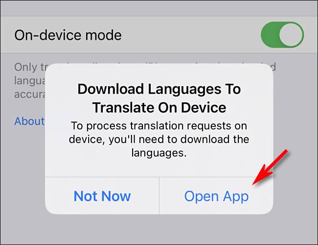 How to Enable Offline Translation in Apple's Translate App on iPhone