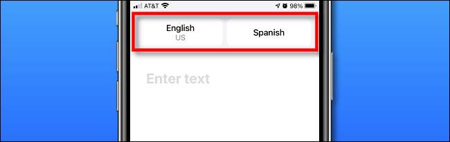 How to Use the Apple Translate App on iPhone