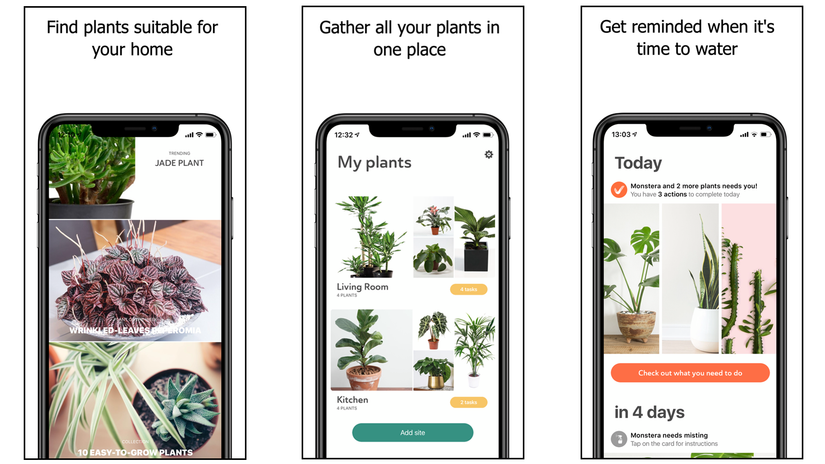 These Apps Will Help You Keep All of Your New Houseplants Alive