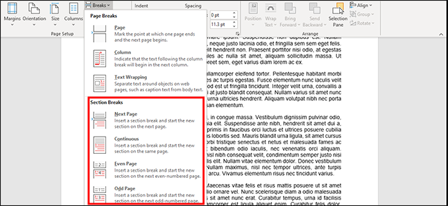 How to Insert a Section Break in Microsoft Word