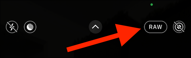 What Is Apple's ProRAW Photo Format on iPhone?