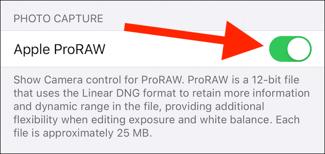 What Is Apple's ProRAW Photo Format on iPhone?