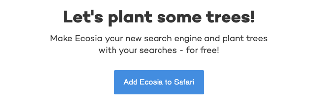 What Is Ecosia? Meet a Google Alternative That Plants Trees