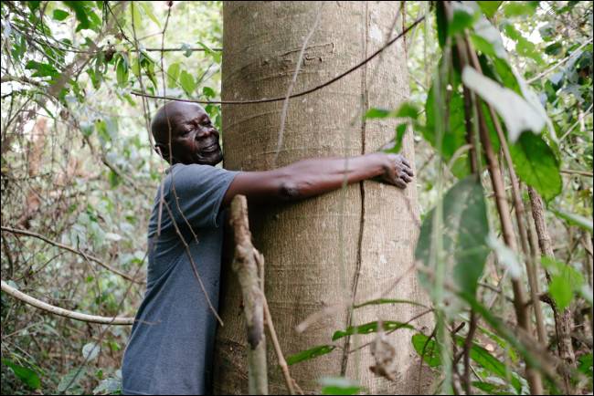 What Is Ecosia? Meet a Google Alternative That Plants Trees