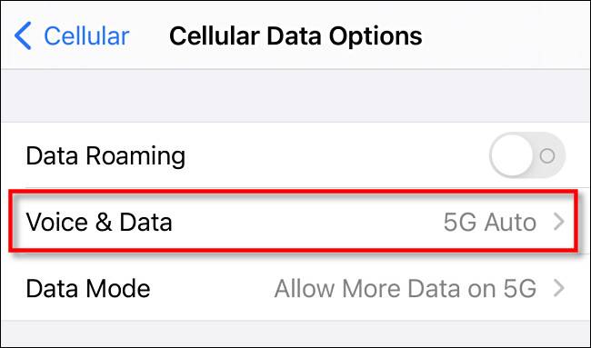 In "Cellular Dat Options," tap "Voice & Data."