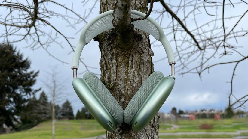 Airpod Tree Apple AirPods Max Review: Premium Price for a Premium Experience