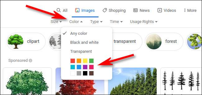 How to Filter Google Image Search Results by Color