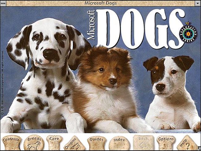 Dogs, Dinosaurs, and Wine: The Lost CD-ROMs of Microsoft