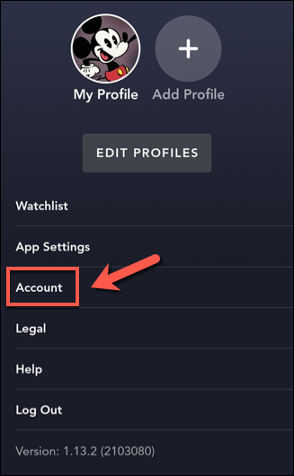 How to Change Your Account Email Address on Disney+