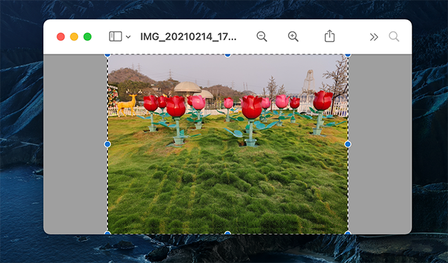 How to Add an Image to a PDF with Preview on Mac