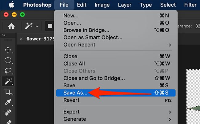 Background Save How to Remove a Background in Photoshop