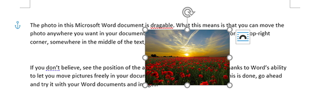 A picture placed on a block of text in Microsoft Word.