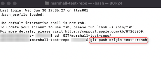 Run the command to push your branch to GitHub.