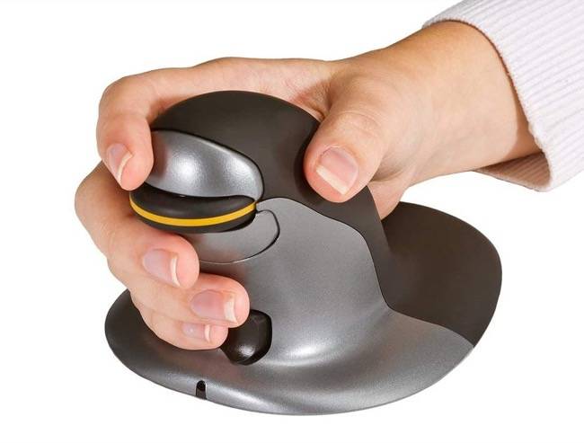 Endus Mouse What to Look for When Buying an Ergonomic Mouse