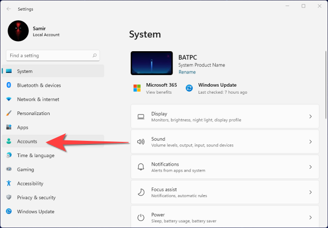 Select the "Accounts" option from the left column.