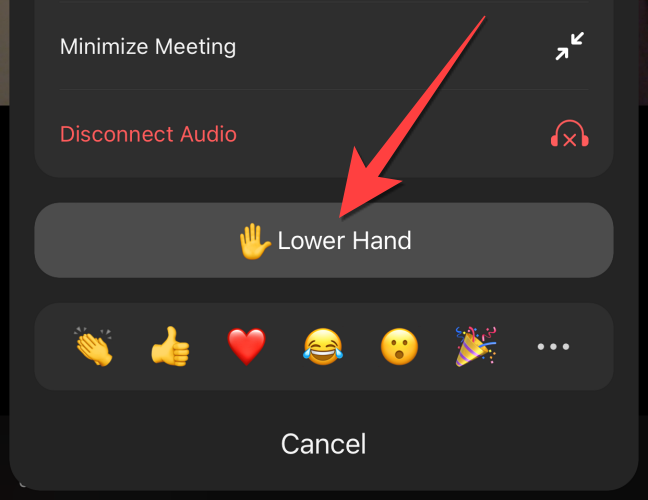 How to Raise Your Hand in a Zoom Meeting