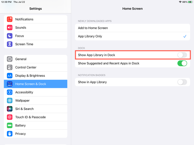 How to Use the App Library on iPad