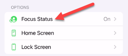 How to Set Up Focus on iPhone and iPad
