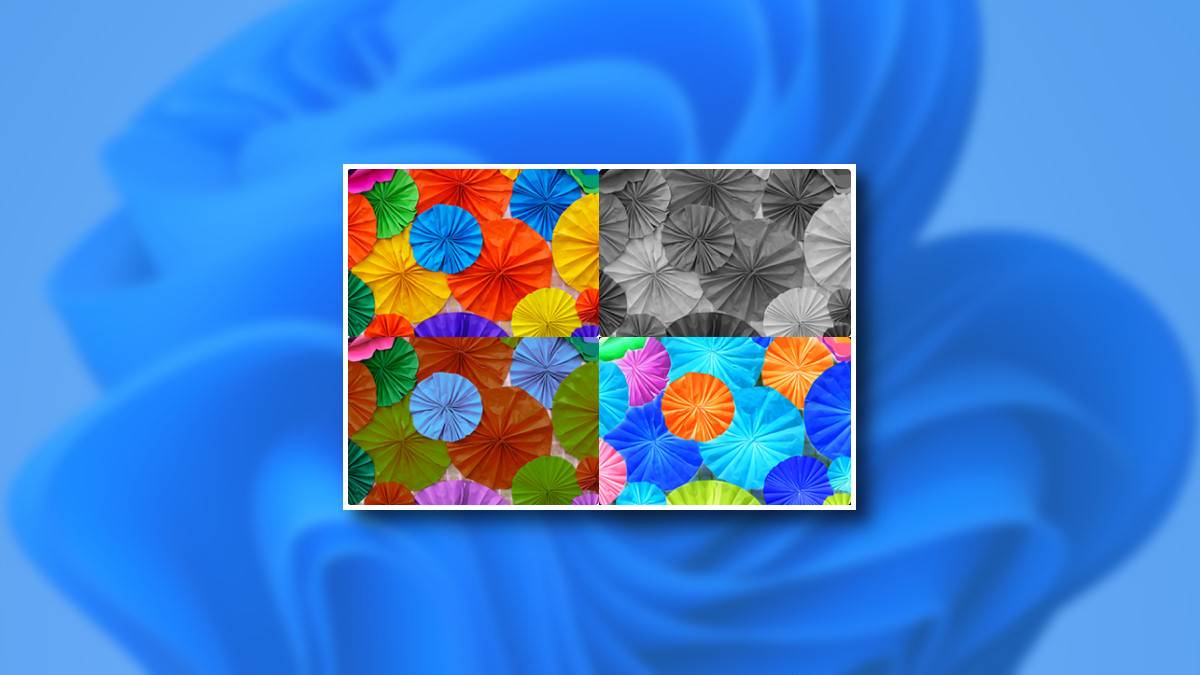 How to Use Color Filters in Windows 11