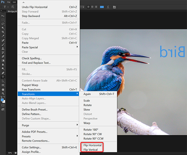 How to Flip an Image in Adobe Photoshop