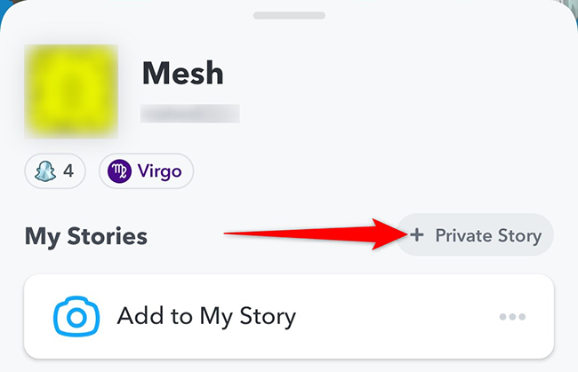 Tap "Private Story" on the profile page in Snapchat.